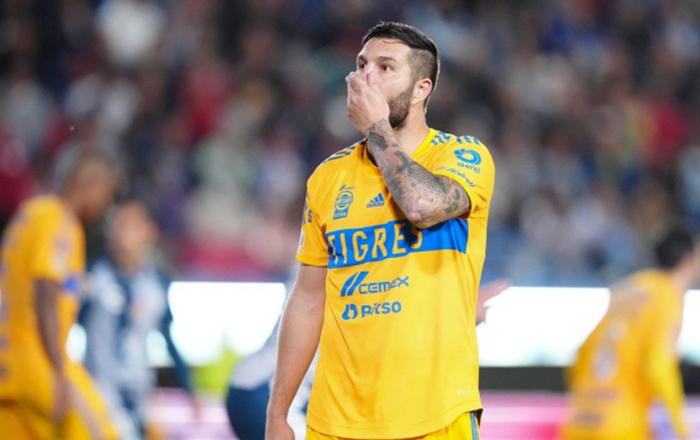 tigres
