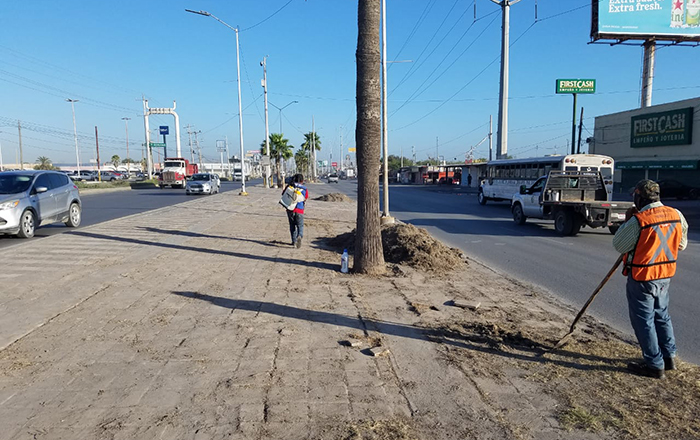 Gobierno de Reynosa hace tareas de mantenimiento en camellones de la ciudad 1 314398280 5569756203078635 8580303022354207223 n