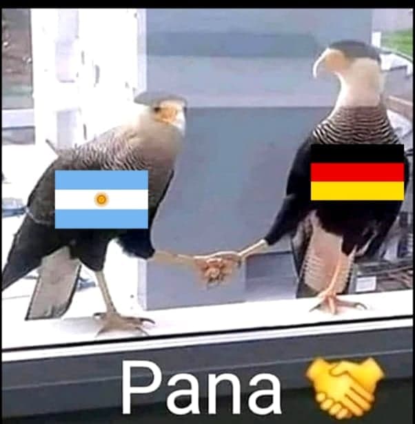 Ahora le tocó a Alemania sufrir los memes 3 316466802 547368483394043 4786424491875752678 n