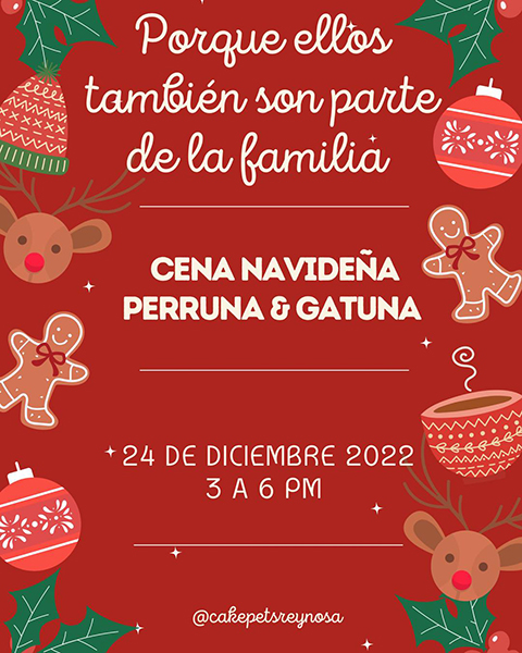 Ofrecen cena navideña para ‘gathijos’ y ‘perrhijos’ 1 317179380 5819756481465514 3569992007082371168 n