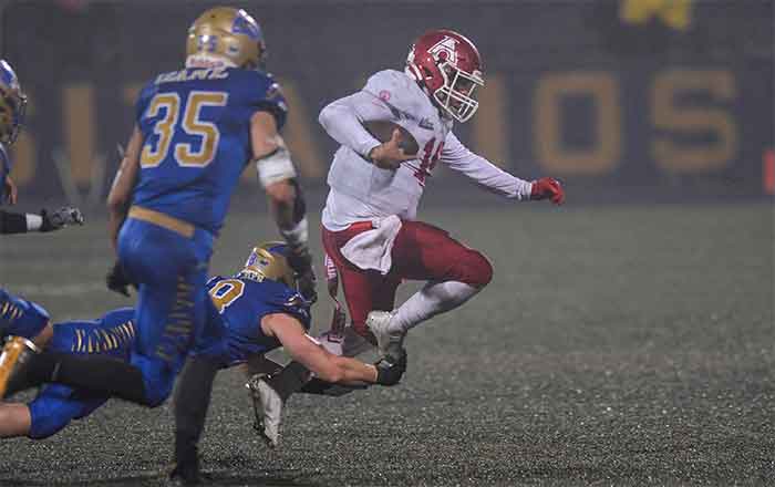 Auténticos ‘rugen’ invictos a la gran final de la ONEFA 5 AUTENTICOS 5 1