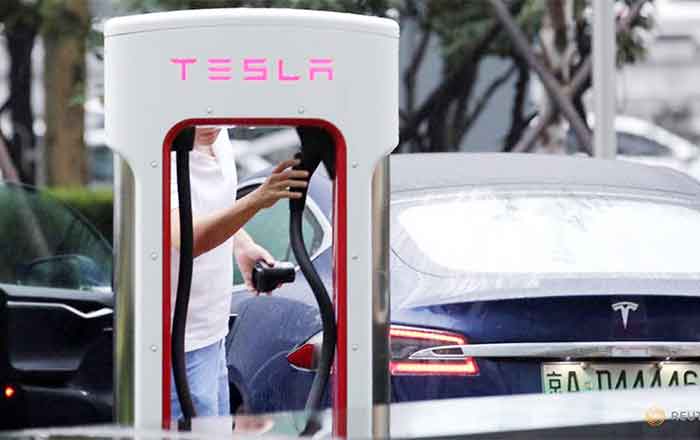 TELSA-CHINA