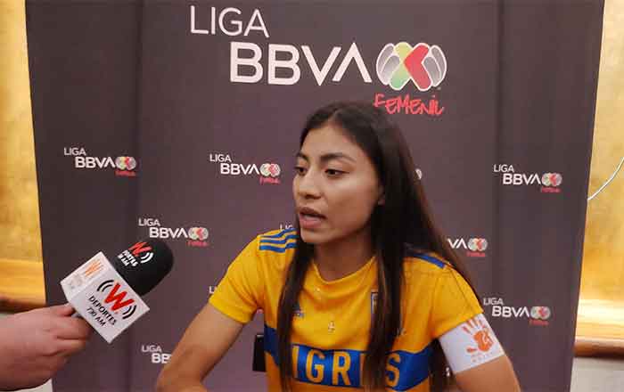 TIGRES-FEM