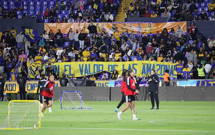 TIGRES-FEM