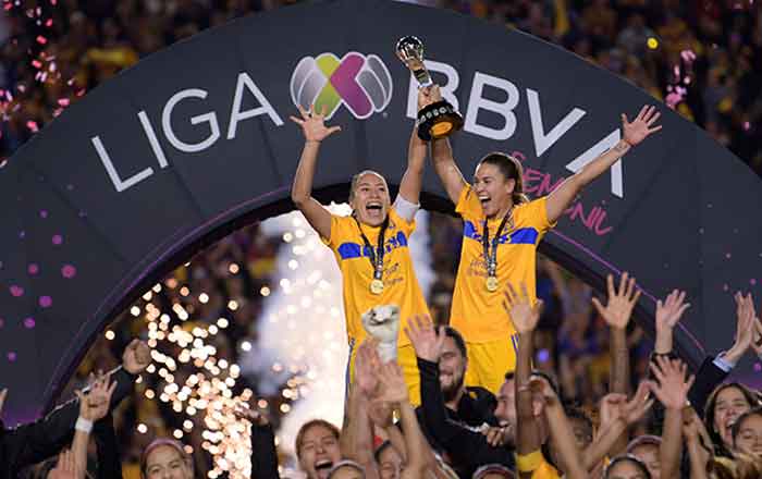 TIGRES-FEM