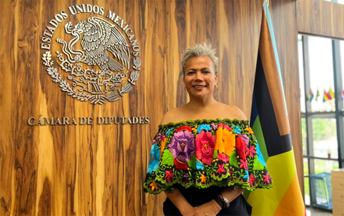 diputada tran
