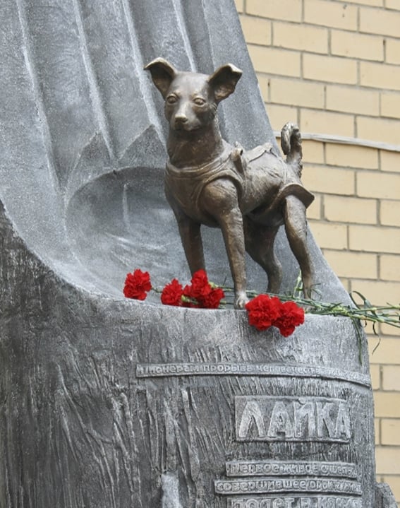 Cuando la perra Laika voló por el cielo de México en el Sputnik II 1 laika primer perro en descubrir