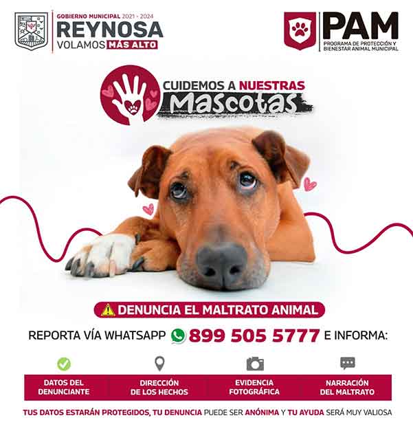 Crean en Reynosa línea telefónica para denunciar maltrato animal 1 mascota 2