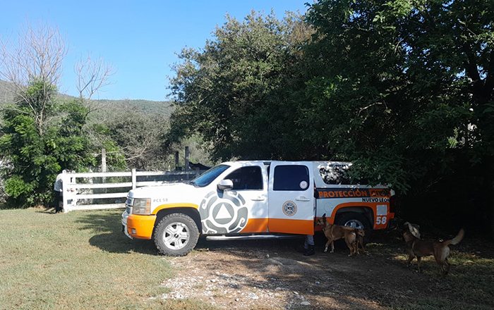 Aparece familia de osos en quinta de Santiago 1 oso santiago