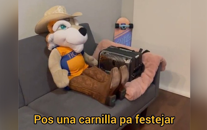tigre