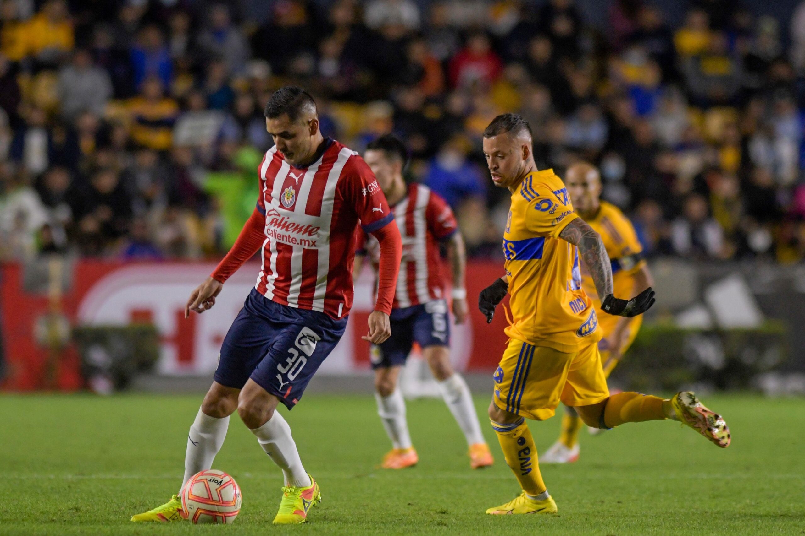Sufre Tigres primer derrota en era de Cocca 1 317012641 930530738357593 621770304420381107 n scaled
