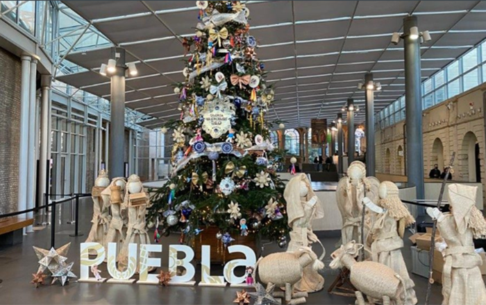 Dudan de 400 invitados en eventos de Samuel García en Italia 2 318183697 835701307698318 3433047241365879014 n