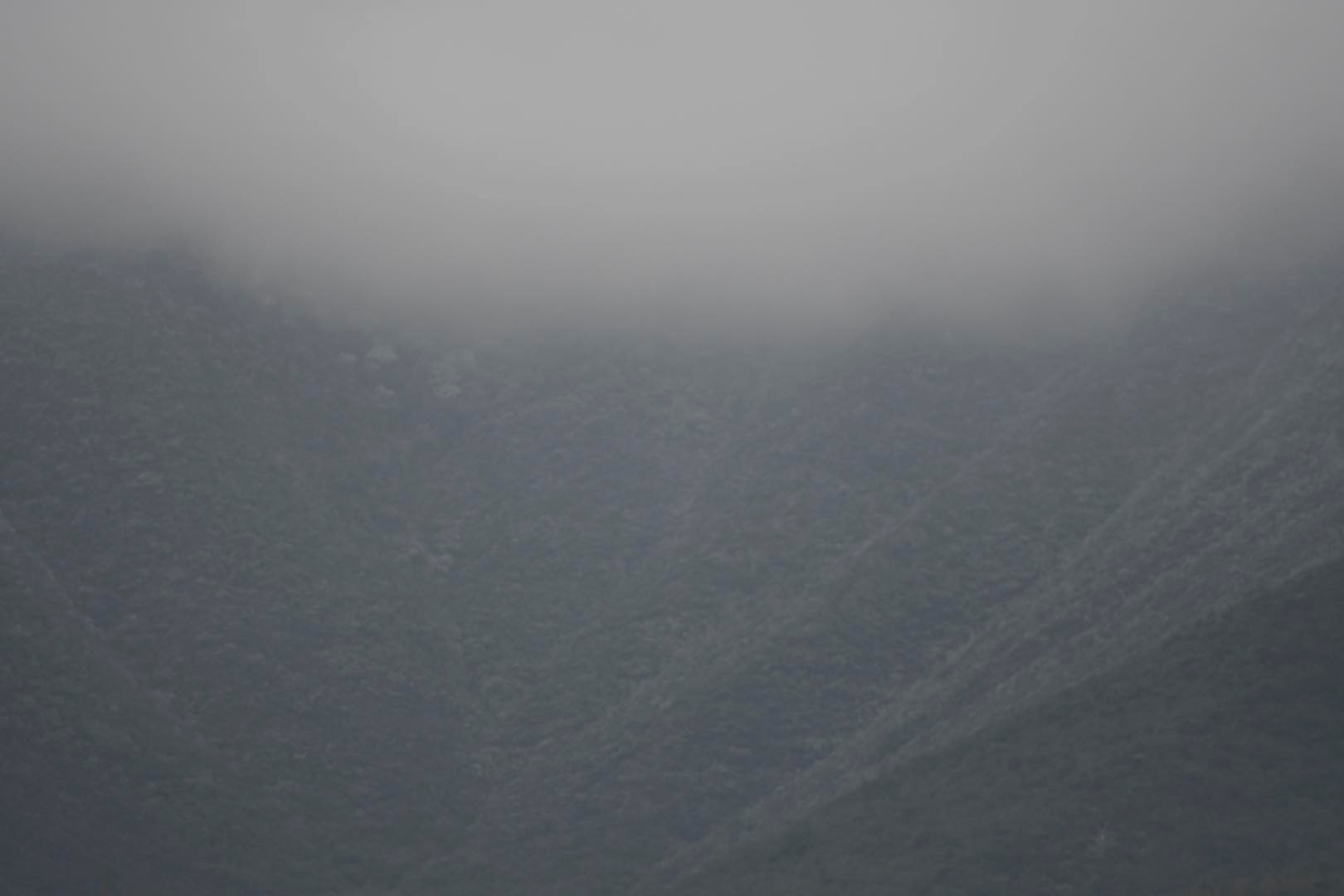 Comienzan a ‘vestirse’ de blanco los cerros en Monterrey 2 318529649 509655104314772 5217977880439751177 n
