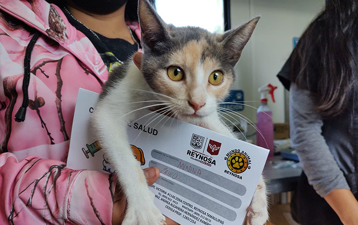 Protección Animal Reynosa vigila salud de las mascotas 1 319375602 1105832833434515 3061992756668694983 n