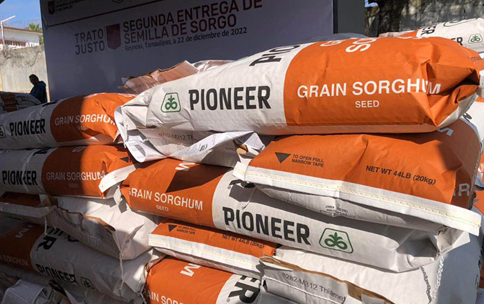 Entregan primeros 15 mil bultos de sorgo a campesinos 1 319854124 856460942173044 1947438091516759778 n
