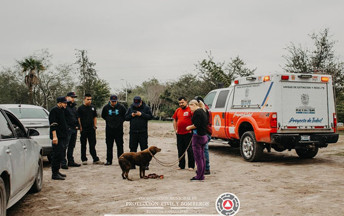 Rescatan a perro atrapado en canal Rodhe 2 320111398 1213112172958186 4500452710129240567 n 1