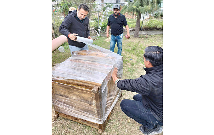 Instalan casitas de madera para ‘callejeritos’ 2 321241596 837450837466231 4831266214662037308 n
