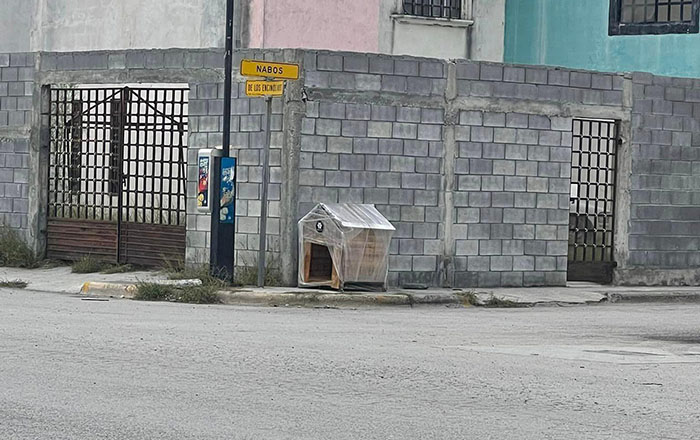 Instalan casitas de madera para ‘callejeritos’ 1 321478571 859558718661208 5701405019790210914 n