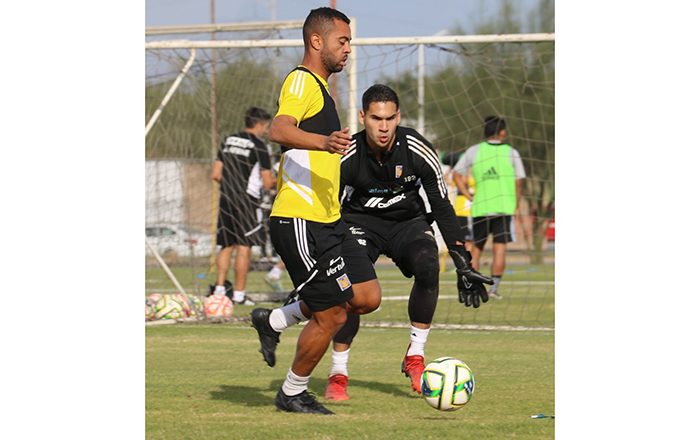 Se prepara Tigre para su debut frente a Santos 2 322482117 527019529190705 6748370463379365819 n