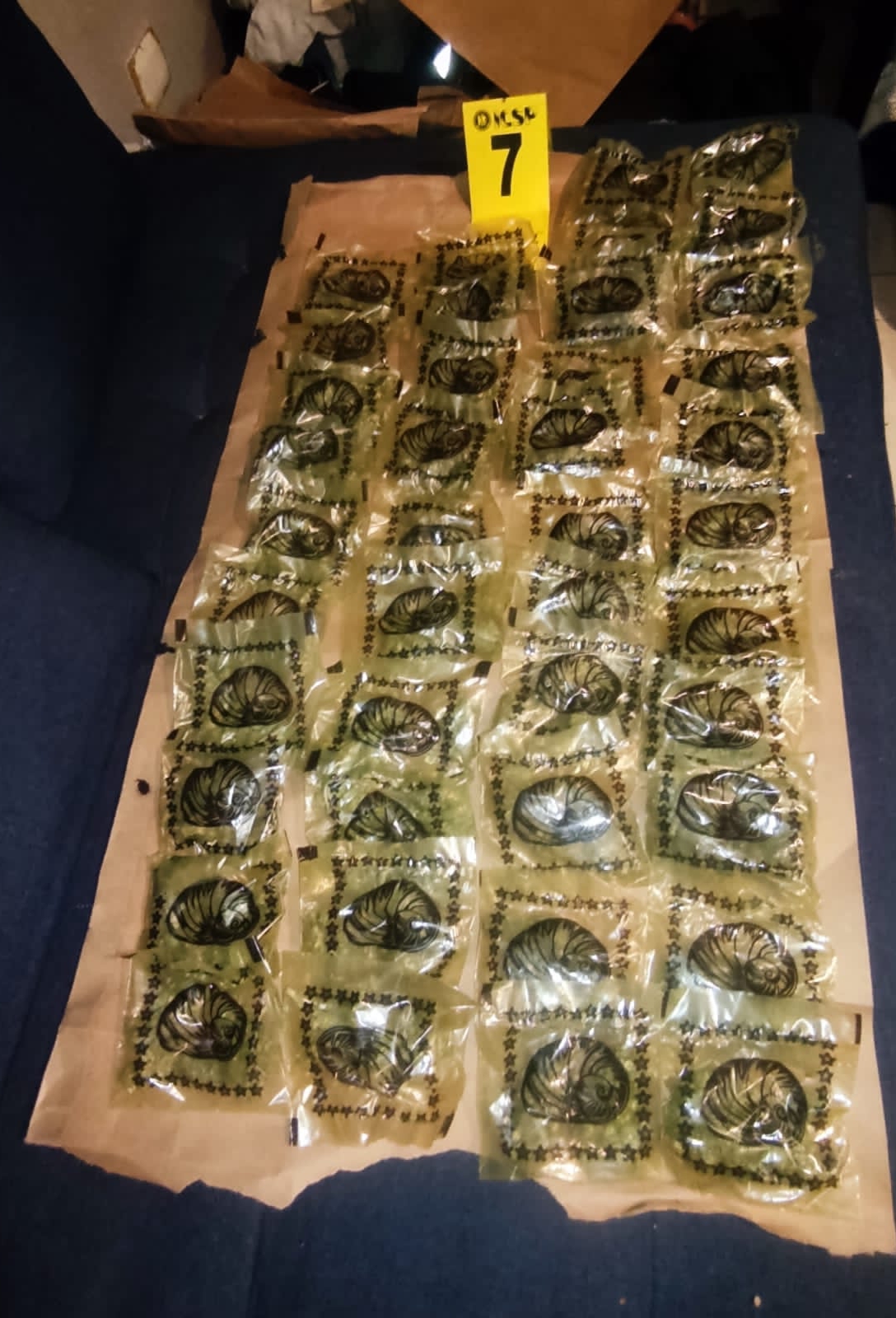 Decomisan arsenal y droga en domicilio de San Nicolás de los Garza 2 323411694 955197092115234 5170299629415500755 n