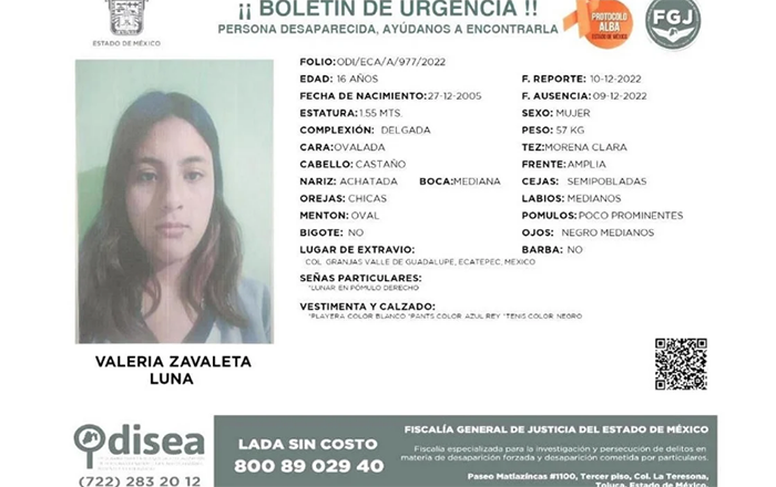 Captura de Pantalla 2022-12-10 a la(s) 12.49.49