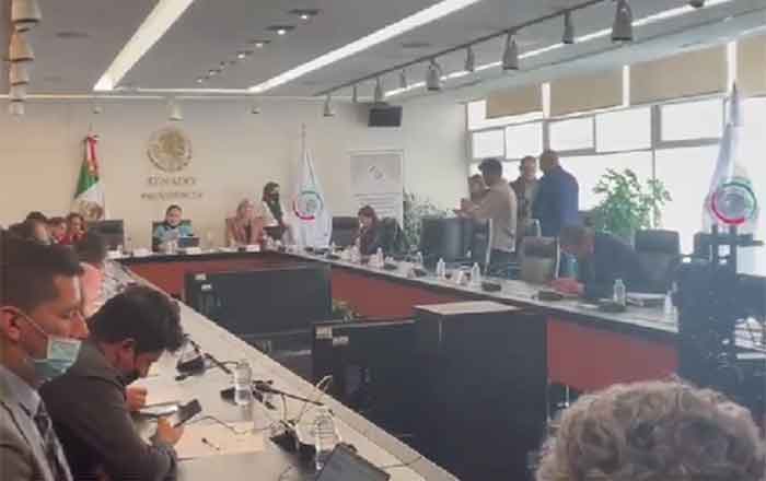 SENADO