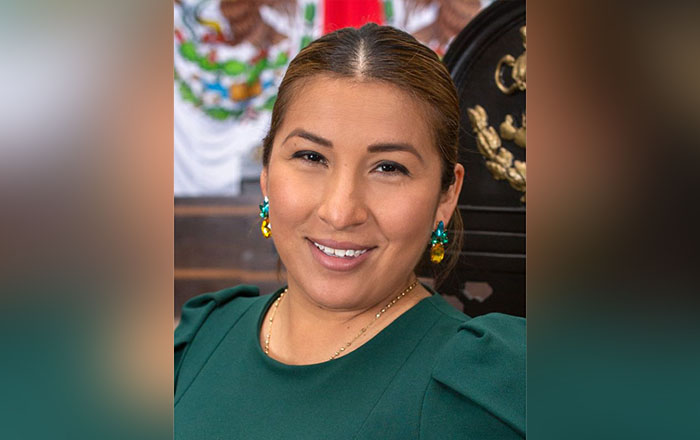 diputada