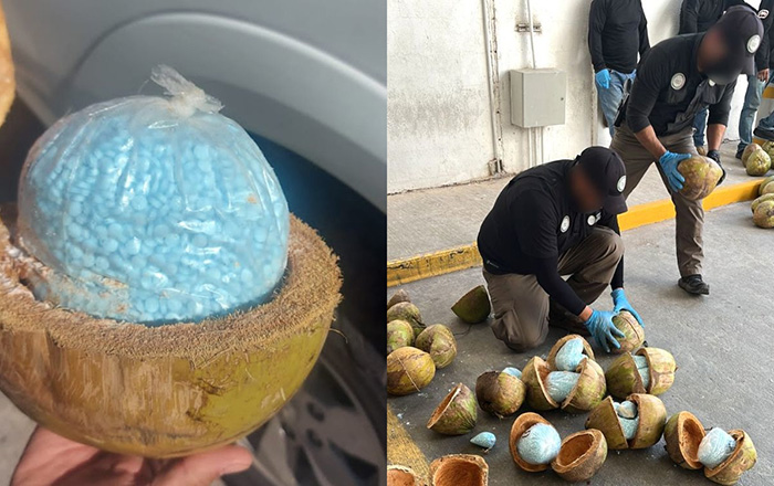 fentanilo-coco-decomiso-droga-sonora-011222