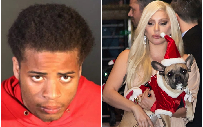 robo-perros-gaga