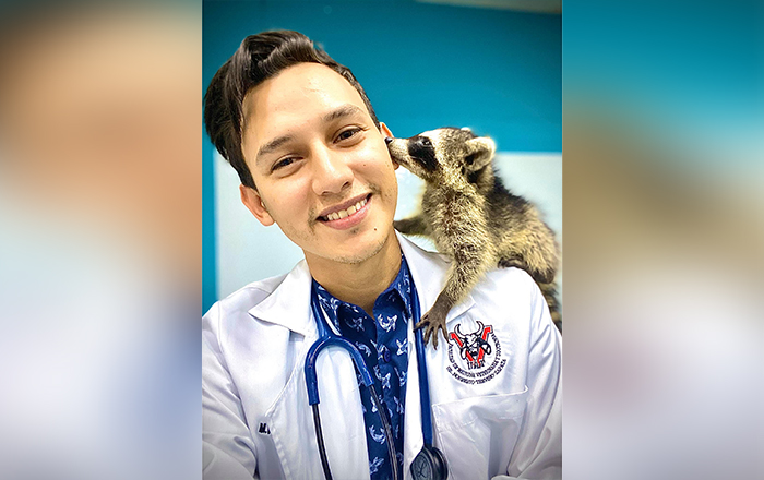 vet