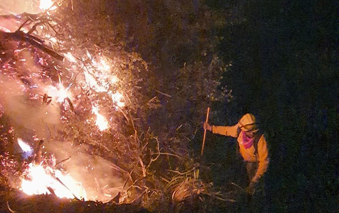 Nuevo incendio afecta seis hectáreas de la Sierra de Santiago 2 324350083 2278924965620285 6295865365264478925 n
