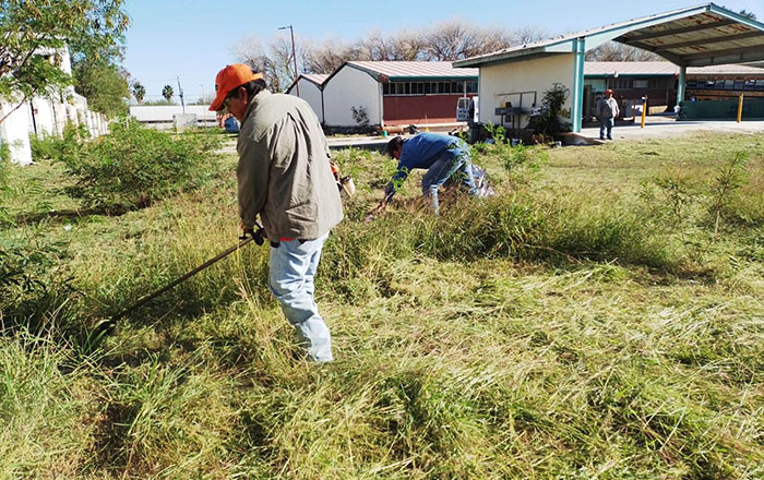Limpian área del Conalep Río Bravo 3 325964685 707018054166107 7455362052171008449 n