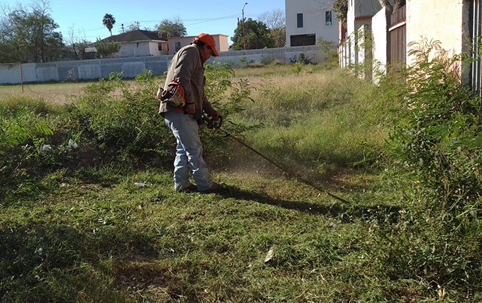 Limpian área del Conalep Río Bravo 2 326164564 1840021879687437 2782608503651188503 n