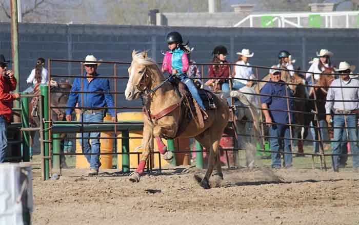 Todo un éxito las eliminatorias de la NBHA 9 CABALLO 10