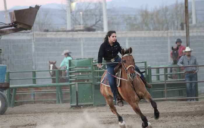 CABALLO-2