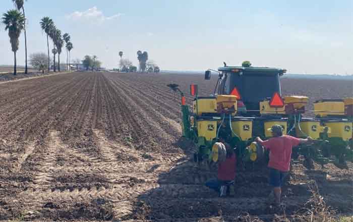 CAMPO