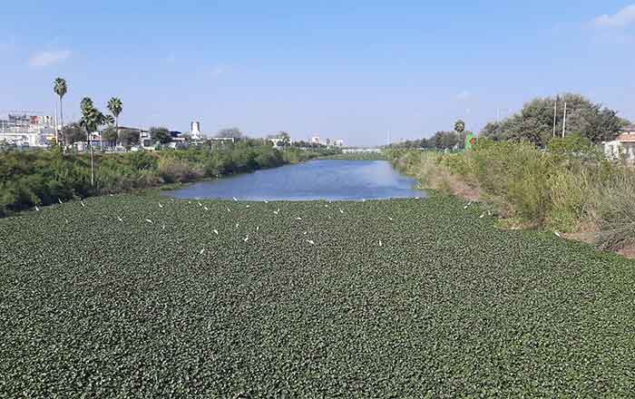 CANAL-ANZALDUAS