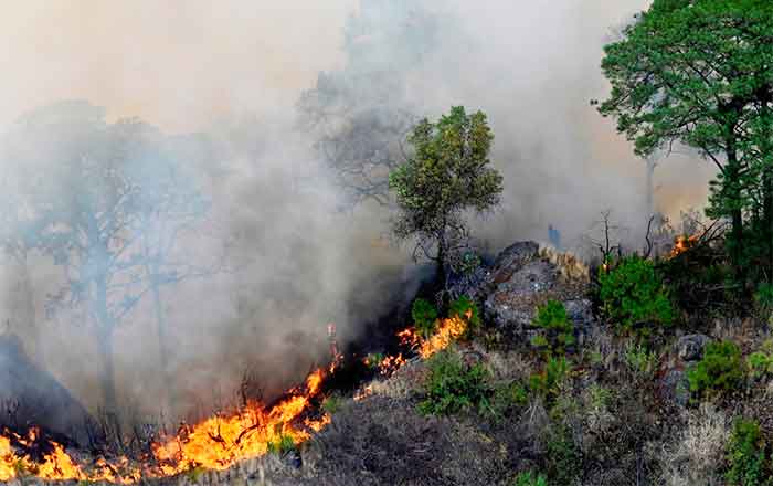 INCENDIO-TAM