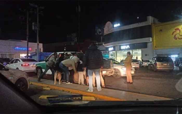 Recuperan a los huskys 'Koba' y 'Anubis', secuestrados en Pachuca 1 KOBA 2