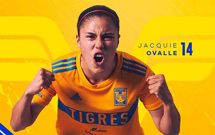 TIGRES
