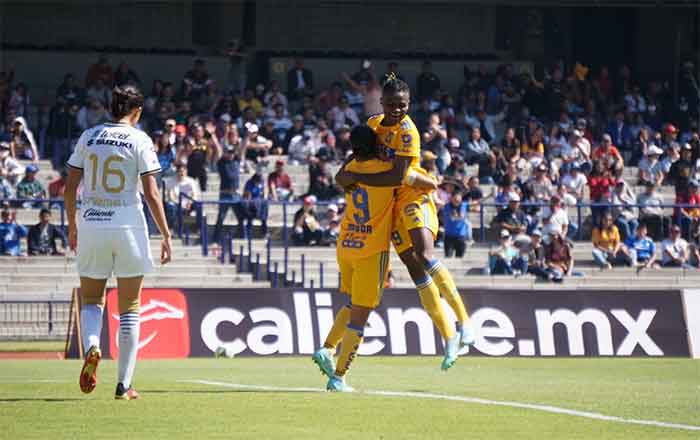 TIGRES-FEM-2