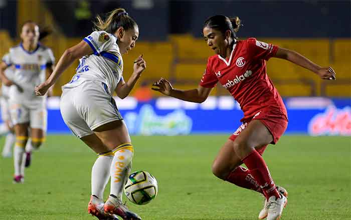 TIGRES-FEM