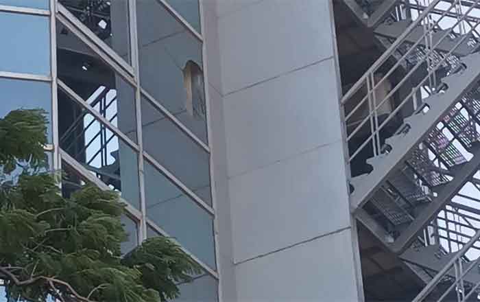 Árboles y postes caídos, saldo del fuerte viento en Ciudad Victoria 2 VICTORIA 3