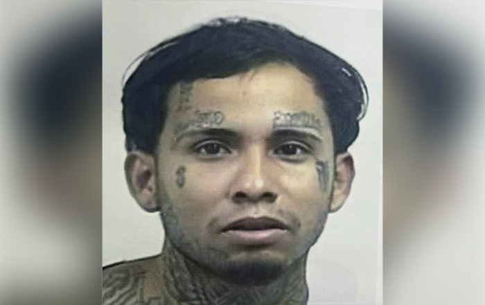 detenido