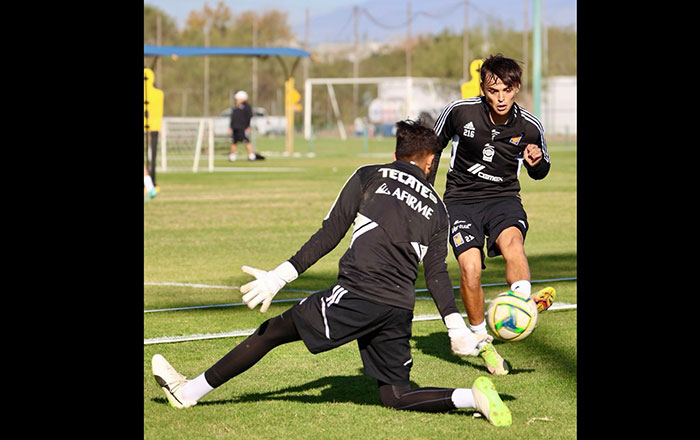 Enfatiza Cocca trabajo defensivo en Tigres 2 dfg