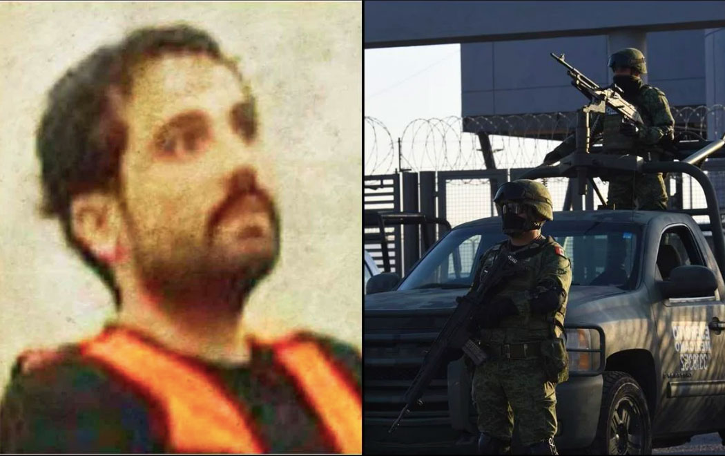 ovi