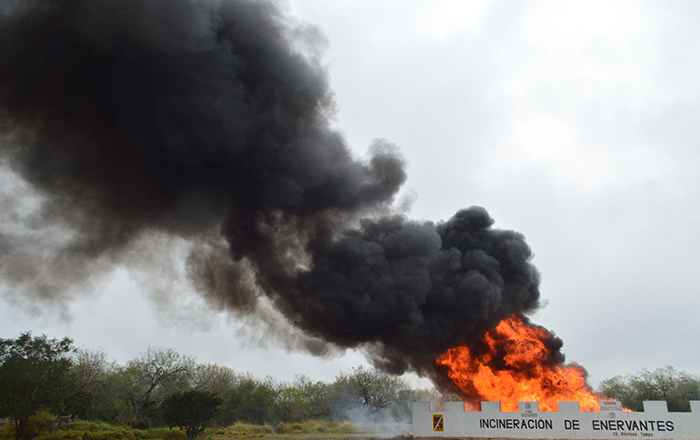 Destruyen narcóticos en Reynosa 2 327571185 876580393610398 1893522955064115841 n