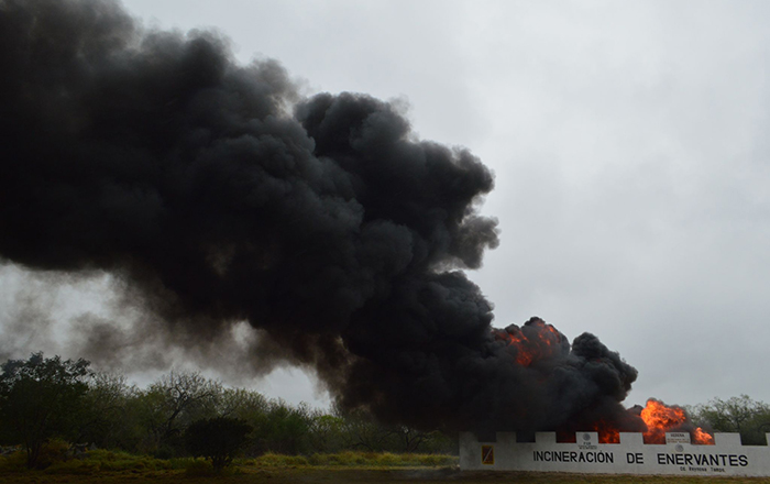 Destruyen narcóticos en Reynosa 1 327731695 1040197193561110 2008237991084829481 n