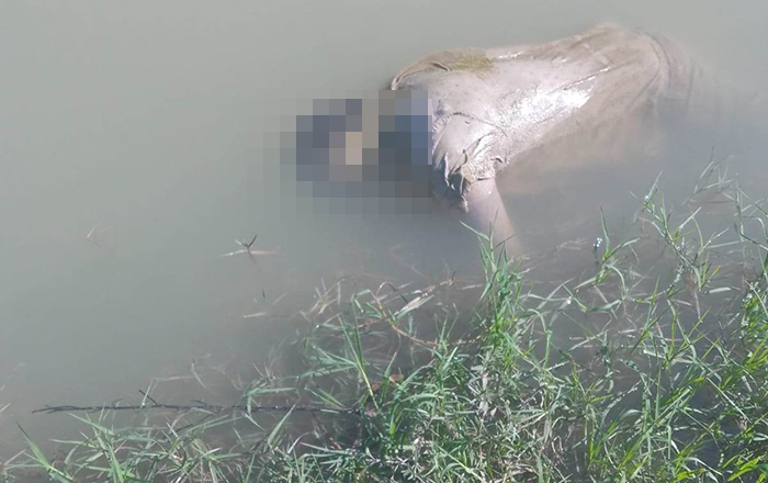 Investigan muerte de reynosense, llevaba cuatro días desaparecido 1 331410351 3016316258677034 3037488749725303731 n 1
