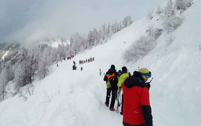 AVALANCHA